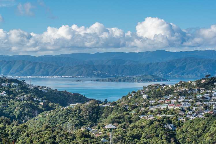 18a Downing Street Crofton Downs_10