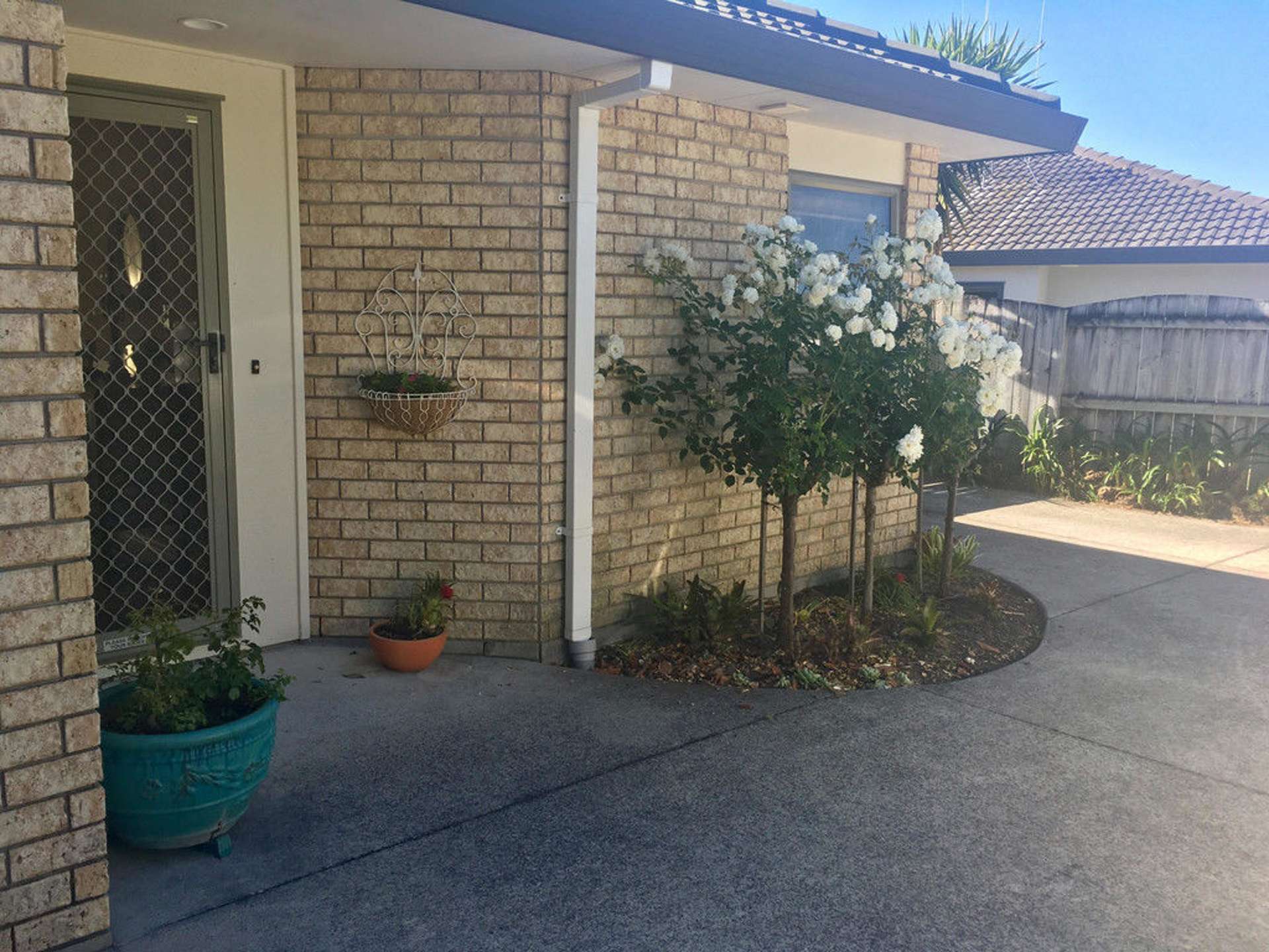 32 Katerini Grove Papamoa_0