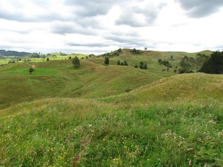 531 Boddie Road Te Kuiti_7