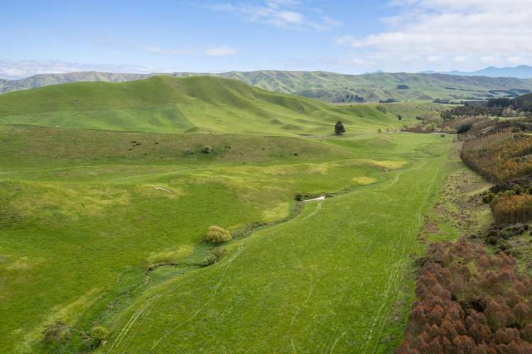 525 Avondale Road Waihopai Valley_6