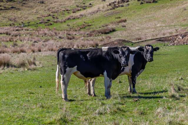 268 Patersons Road Motunau_4