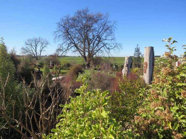 Waituna School Road Waimate_6