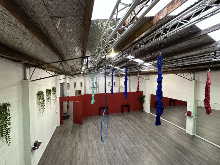 25 Carlyle Street Napier South_5