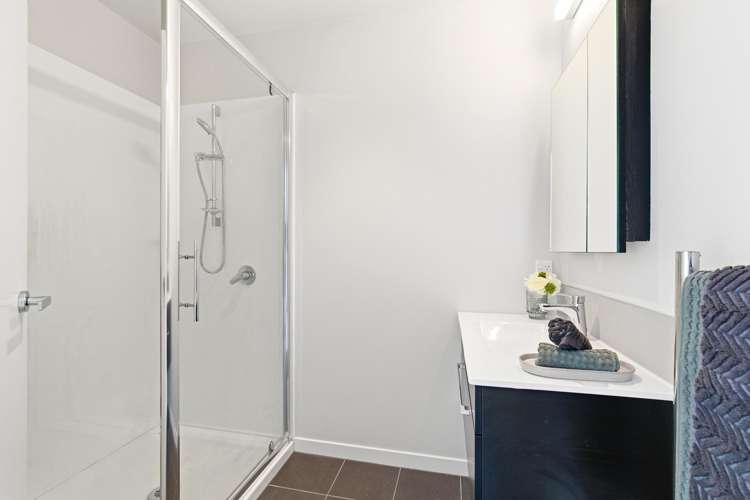 20/6 Oswald Crescent Paparangi_7