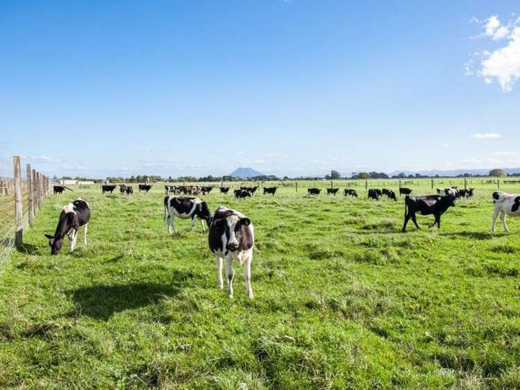 775 Thornton Road Thornton_2