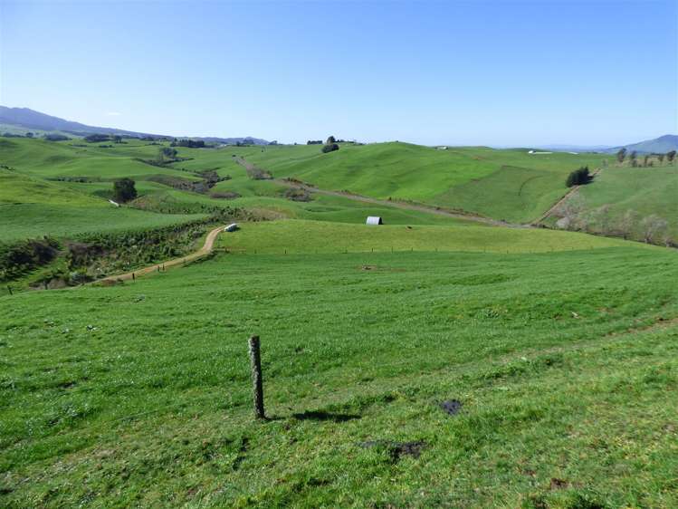 546 Ngutunui Road Otorohanga_5