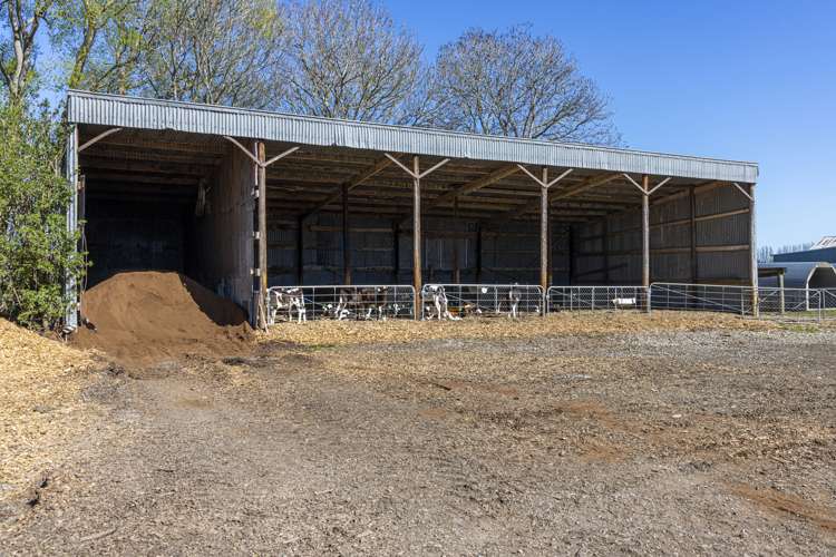 94 Brogdens Road Lowcliffe_18