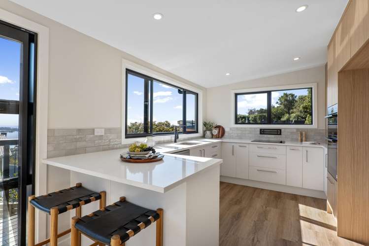 167 Soleares Avenue Mt Pleasant_5