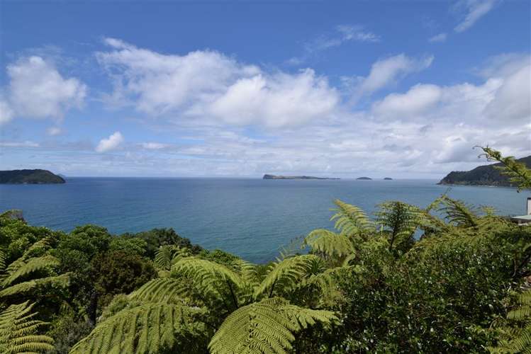 231 Paku Drive Tairua_24
