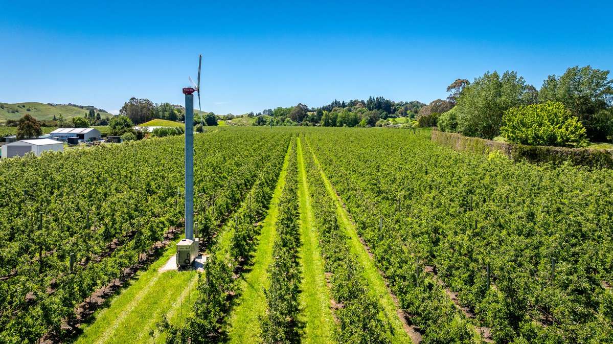 490 Puketitiri Road, Puketapu_5