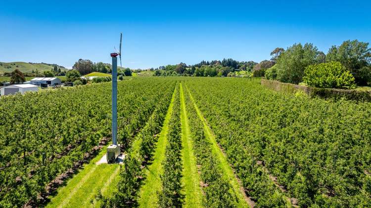 Rakete Orchards LP Hastings_1