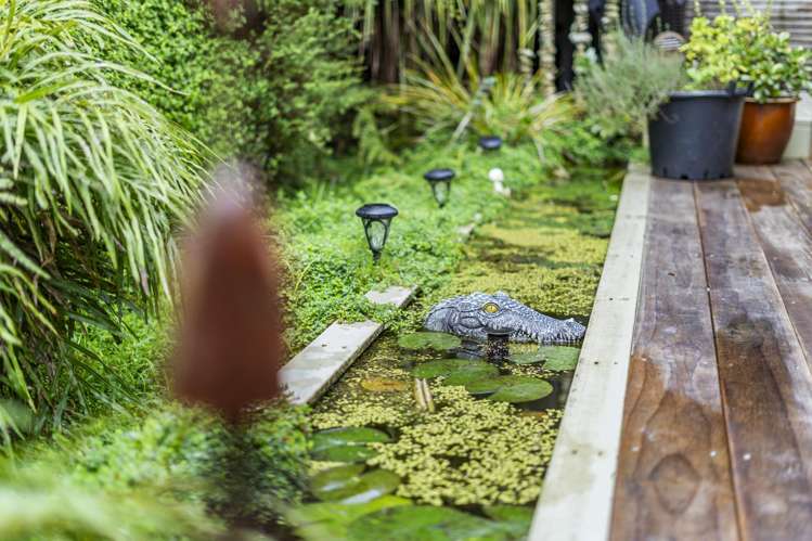 20 William Hadlow Place Hatfields Beach_20