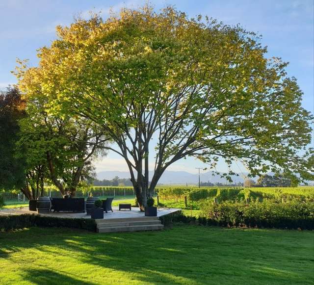 33 Corletts Road Fairhall_1