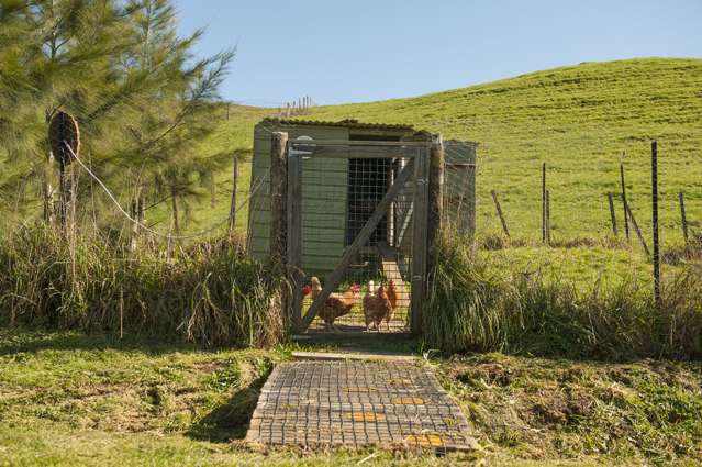 2787a Tapu Coroglen Road Coroglen_2