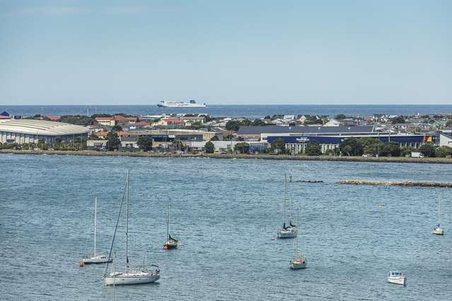 33a Treasure Grove Hataitai_3