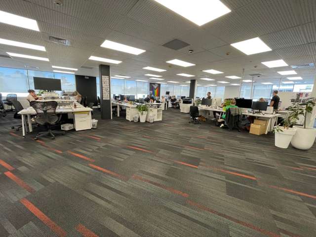 33 College Hill Freemans Bay_2