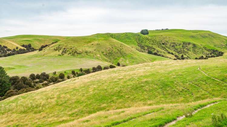 48 Heathfield Road Greta Valley_19