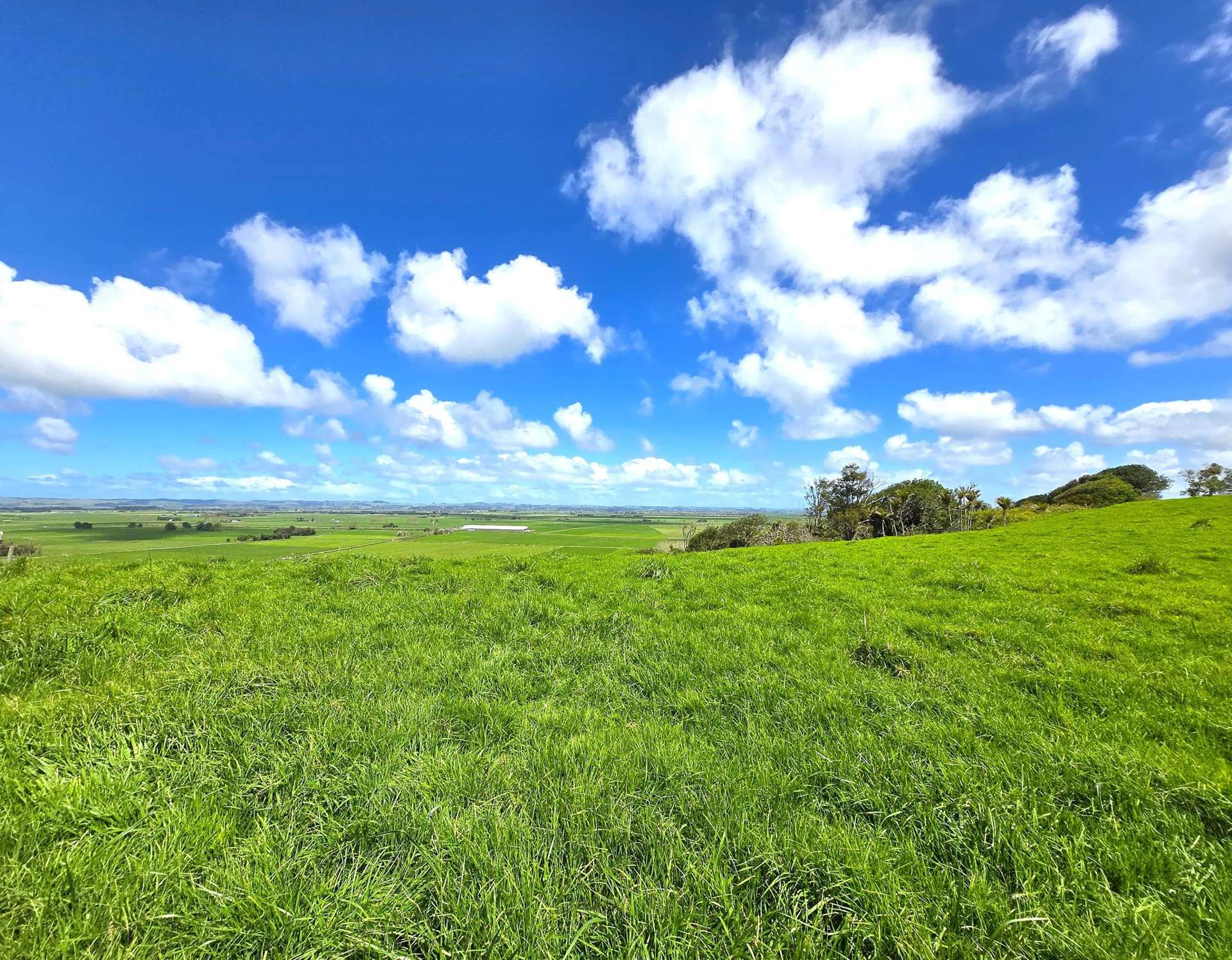 Greenhill Road Ruawai_0