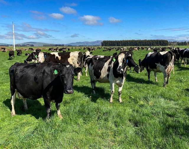 Well Consented Dairy Unit with Wintering History