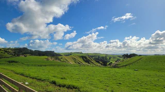 240 Pinaki Road Te Kopuru_1