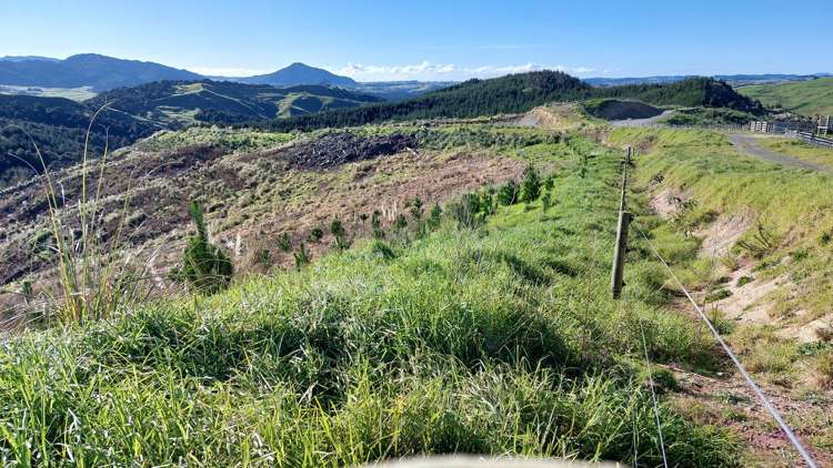 Lot 8/47 Kamea Place_4