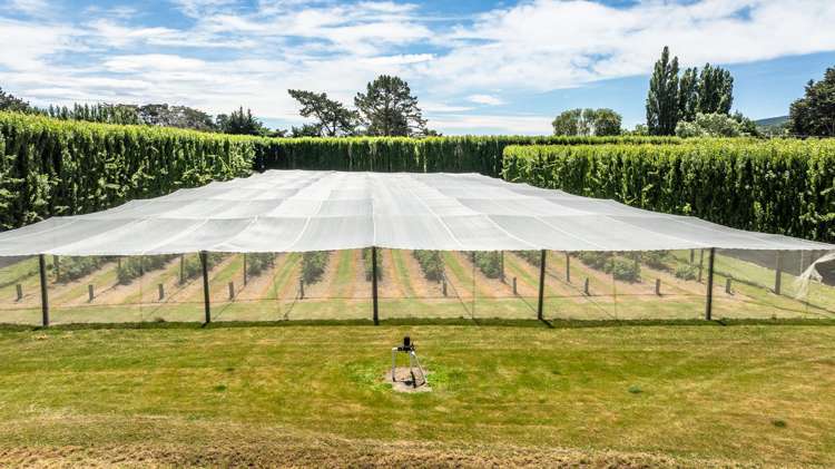 40 Rhodes Road Tai Tapu_19