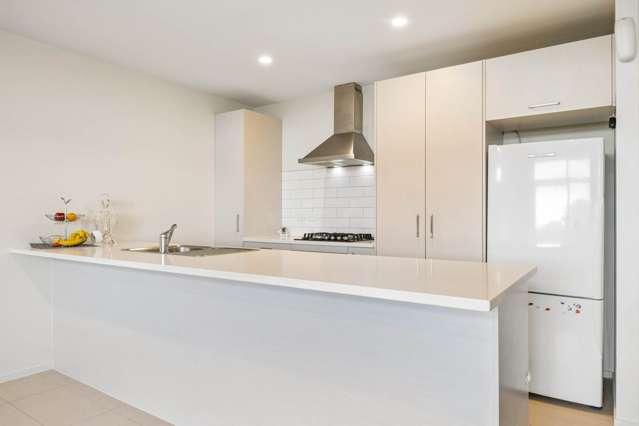 7 Kapuarangi Lane Papakura_4