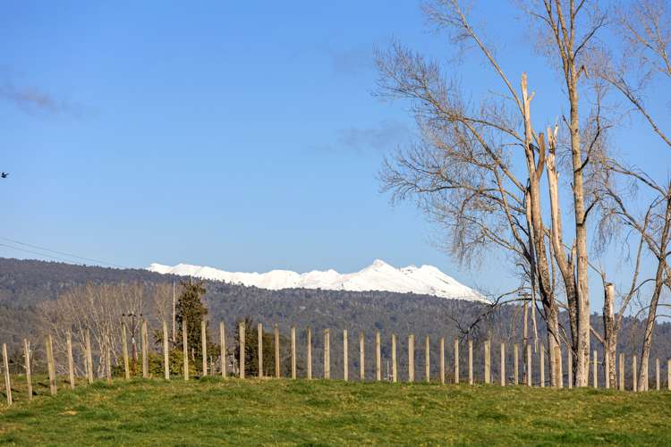 23 Kawautahi Road Owhango_7