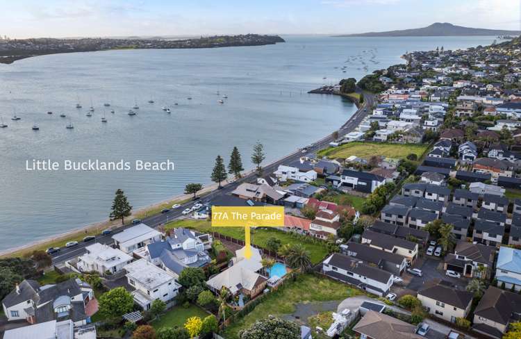 77a The Parade Bucklands Beach_37