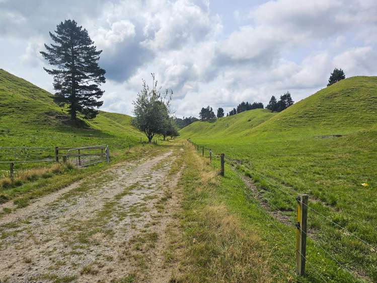 248 Lichenstein Road Okere Falls_10