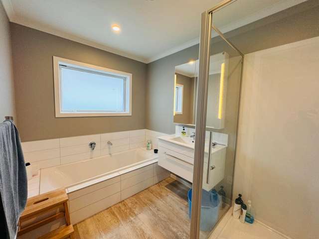 99 North Street Ashhurst_2