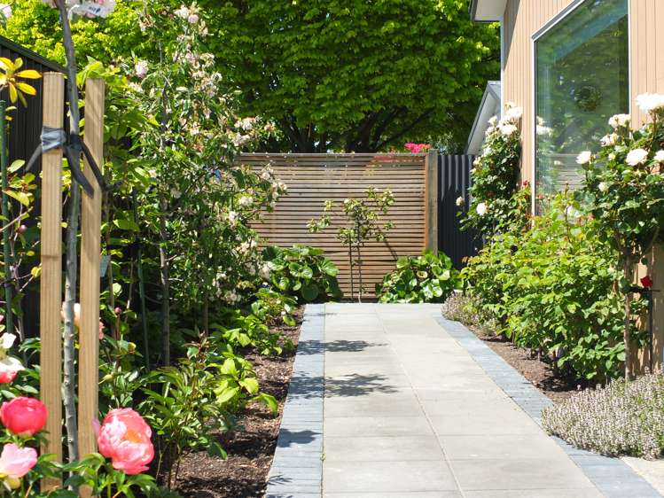 30a Seddon Street Highfield_16