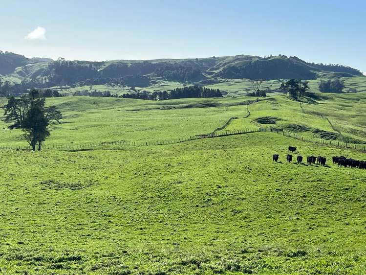 401 Waikaretu Valley Road Glen Murray_15