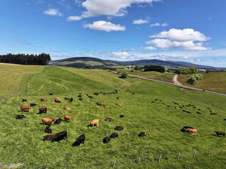 1965 Ohai Clifden Highway Merrivale_2