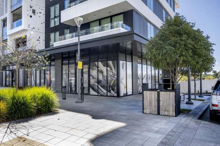 223 Greenlane West_0