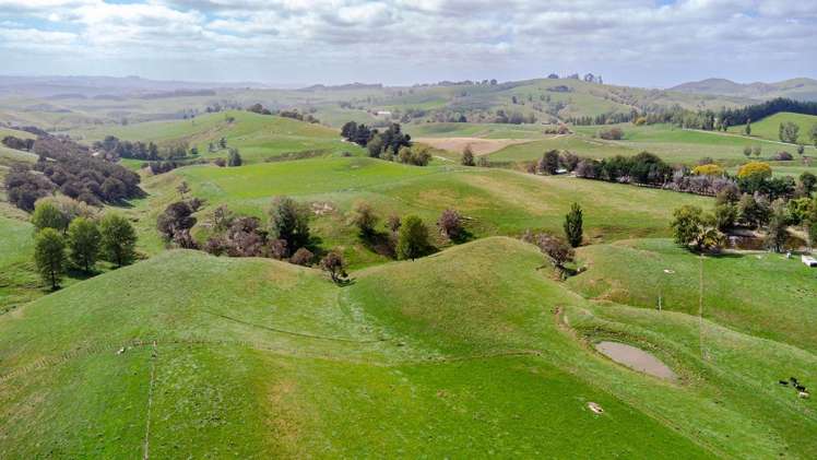 205 Ngawaka Road Flemington_22