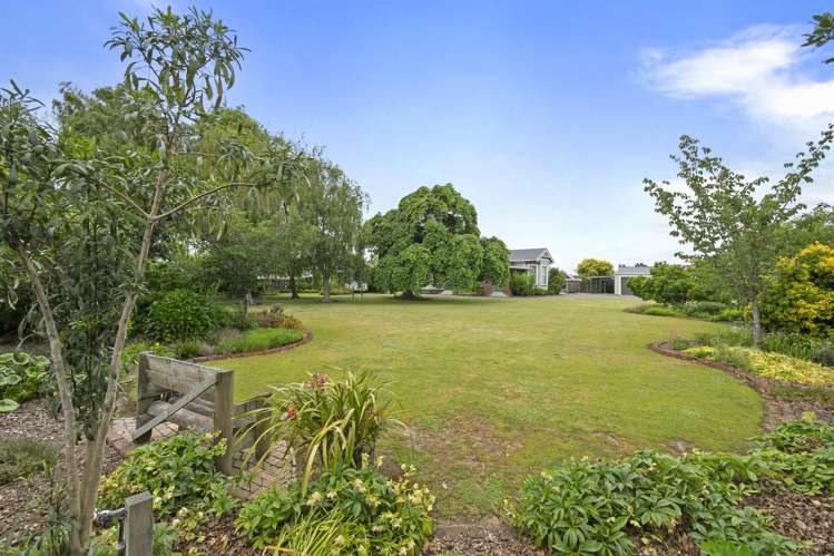 19 Johnson Street Bulls_27