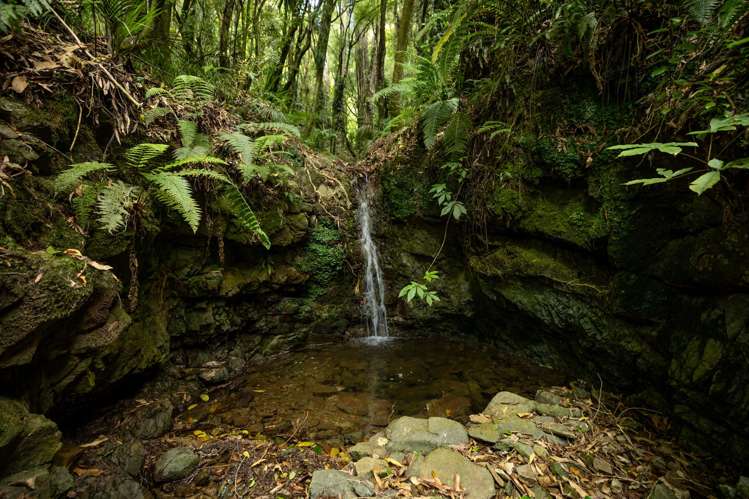 185 Kanuka Rise Wakapuaka_23