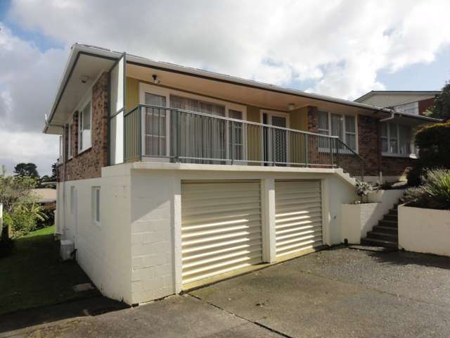 45 Anita Avenue Mount Roskill_1