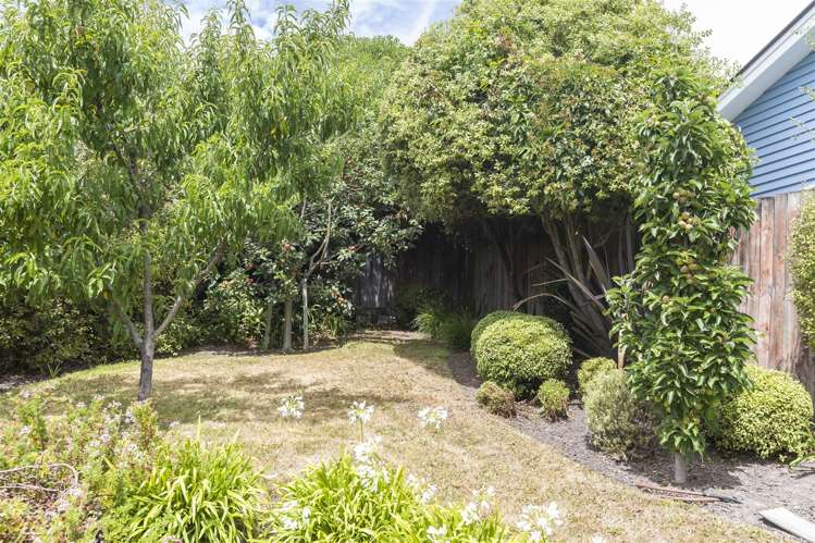 19 The Brae Mount Pleasant_22