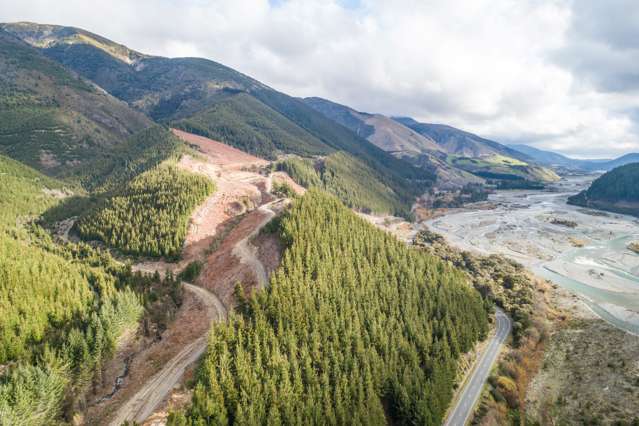 Above Shingly Creek - A View for All Seasons!