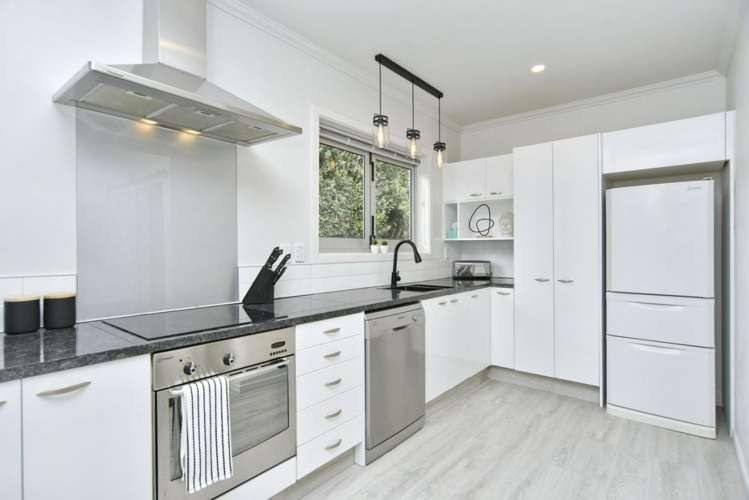 15 Hargest Crescent Sydenham_7