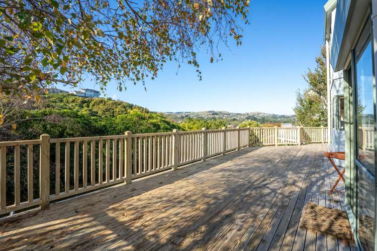 18 Amesbury Drive Churton Park_11