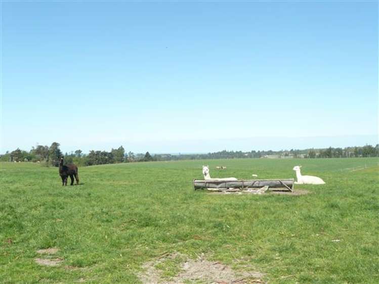 455 Spur Road Rosewill_9