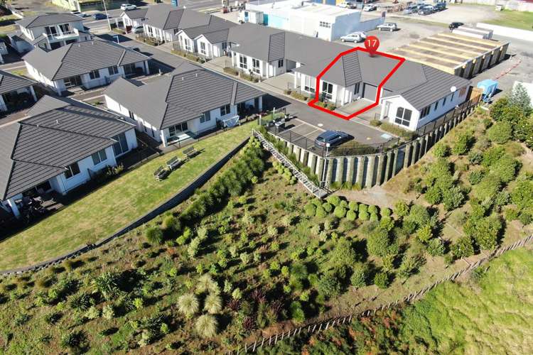 17 Patricia Place Katikati_2