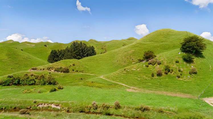 Mangaraupiu Road Eketahuna_7