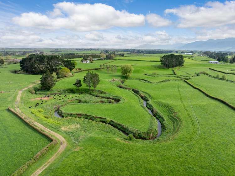 334 Okauia Springs Road Okauia_18