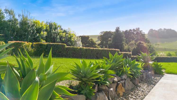 7 Field View Kerikeri_28