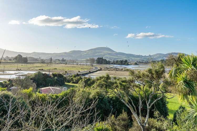 1440 Coast Road Karitane_8