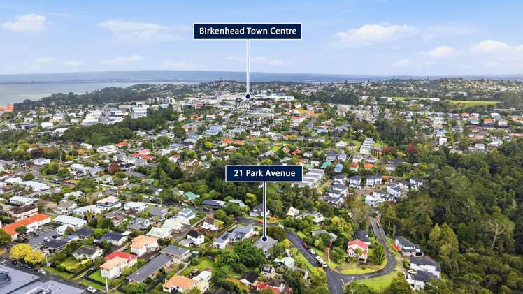 21 Park Avenue Northcote_39